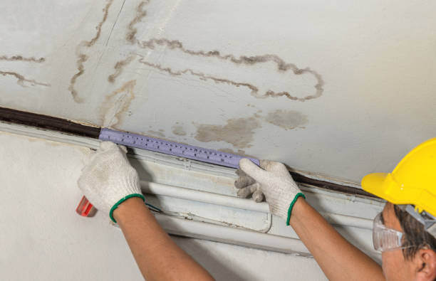 Reliable Basement Water Removal contractor in Mesa, CO by Water Damage Irwin